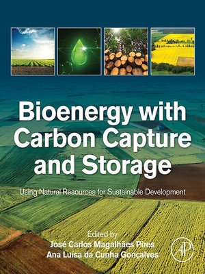 cover image of Bioenergy with Carbon Capture and Storage